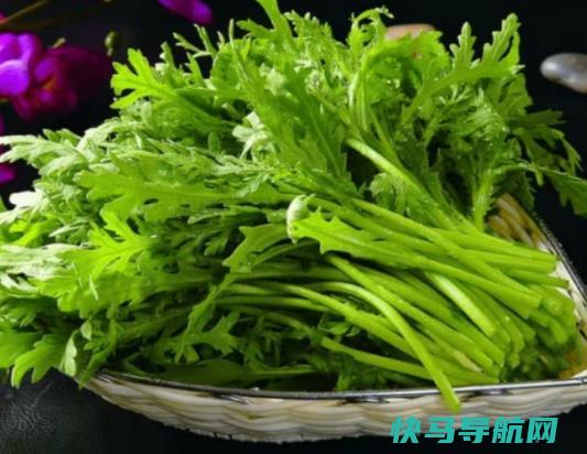 糖尿病人可以吃茼蒿吗？吃茼蒿菜可以减肥吗